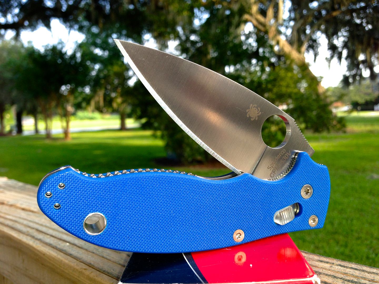 Spyderco's> "Q" KNIVES Manix2 (Blue Sprint Run) & Native Ti Fluted